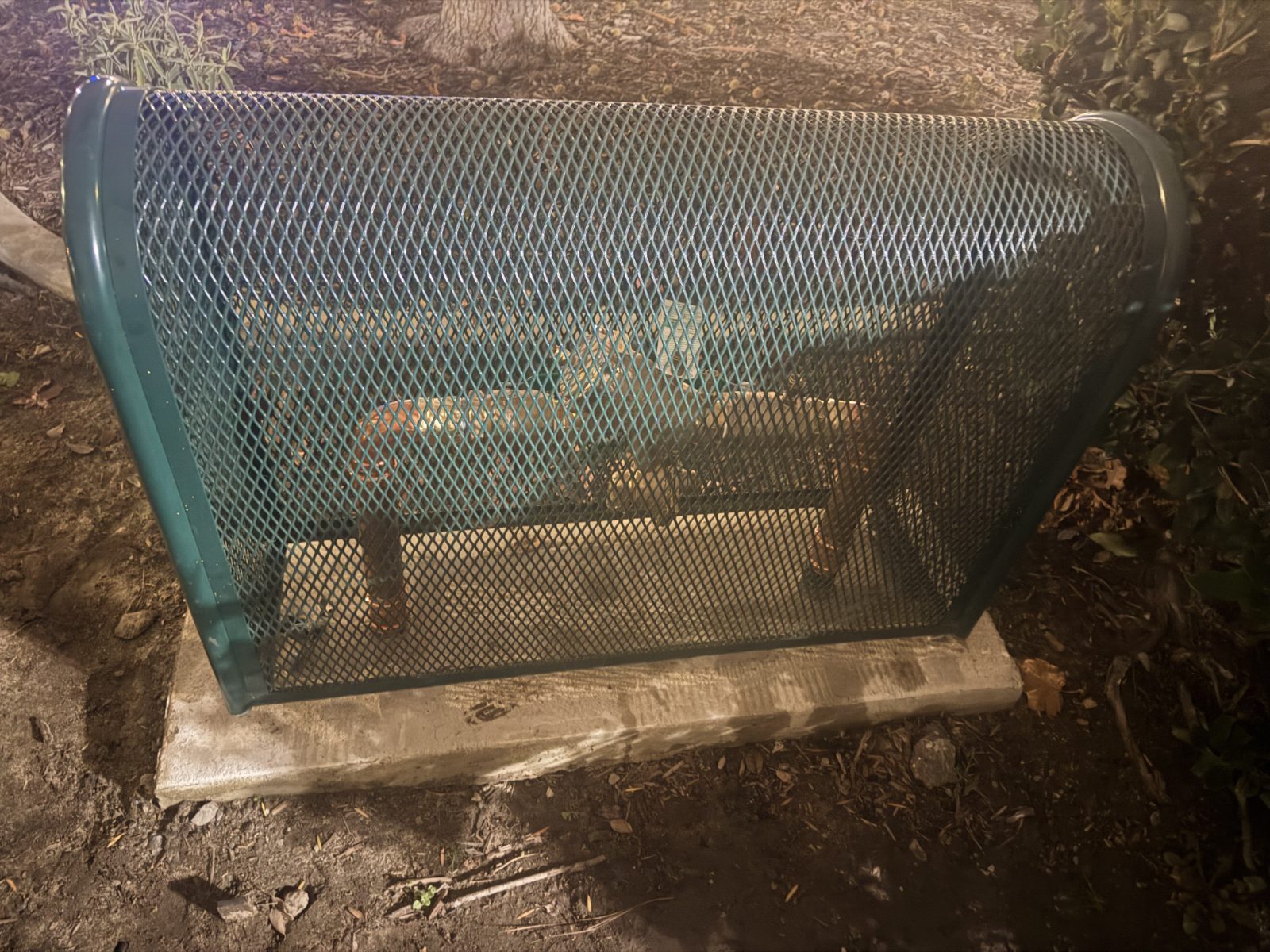 Anti-theft cage