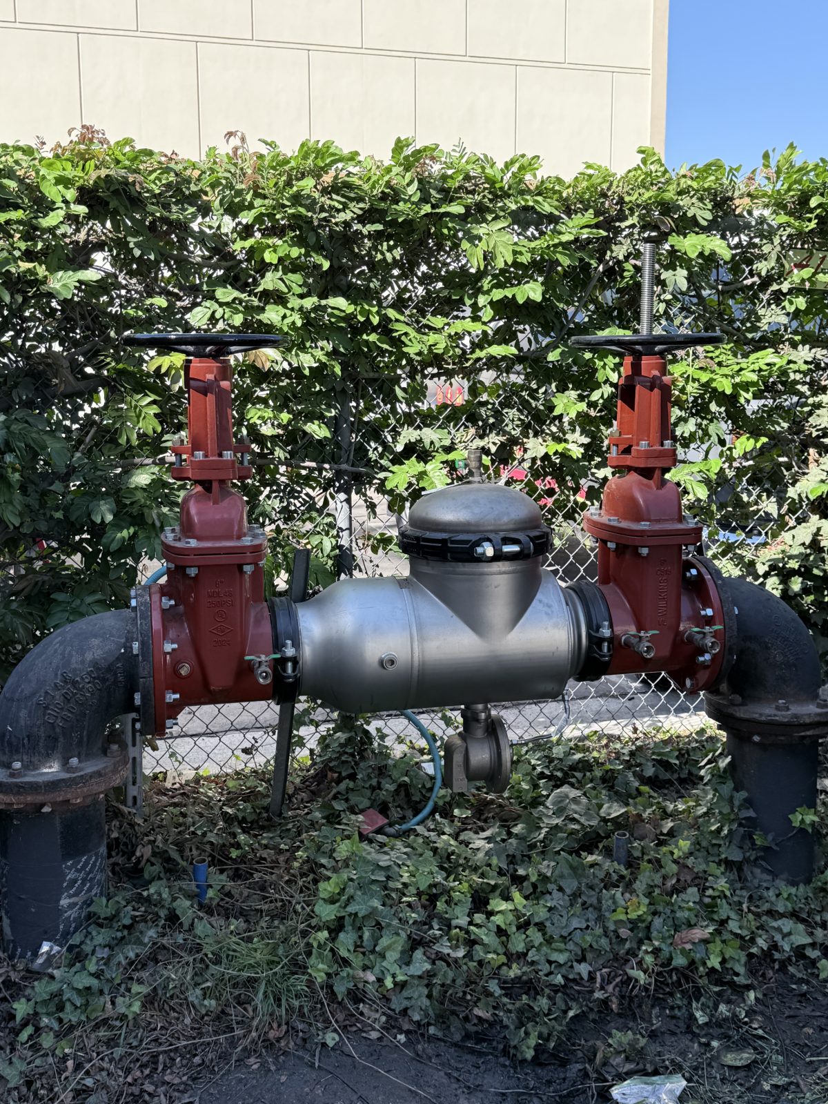 Backflow testing job