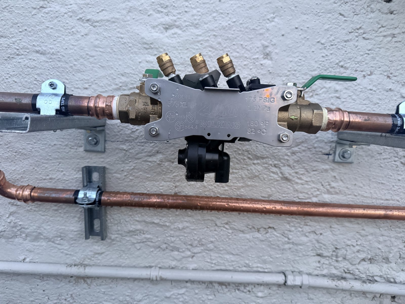 Backflow repair job